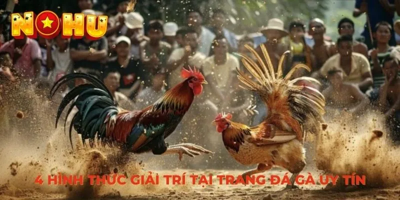 4 hình thức giải trí tại trang đá gà uy tín