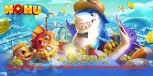 Bắn Cá Rùa Xanh tại nohu