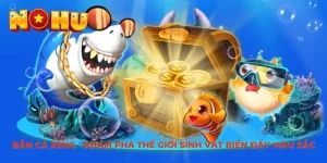 Bắn cá Xèng tại Nohu