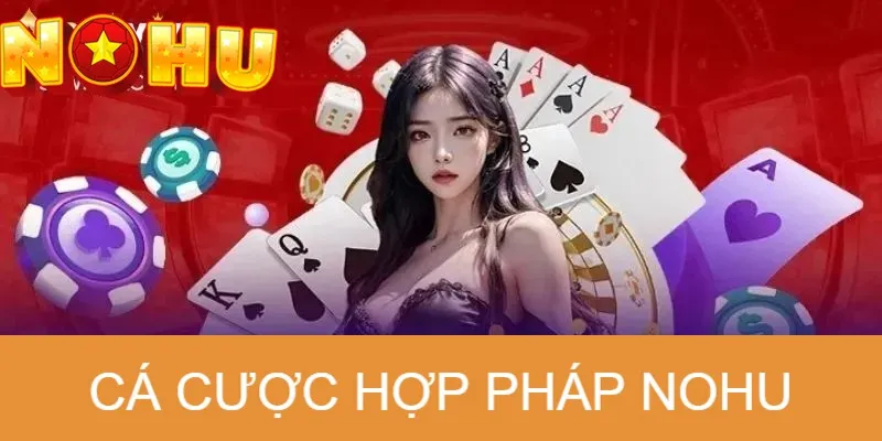 Giới thiệu hệ thống cá cược hợp phát NOHU