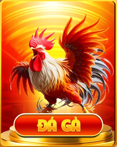 Chuyên mục đá gà nohu