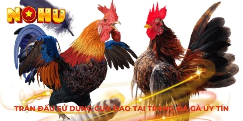 Trận đấu sử dụng cựa dao tại trang đá gà uy tín