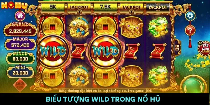 Thuật ngữ Wild trong game